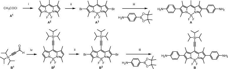 Scheme 1