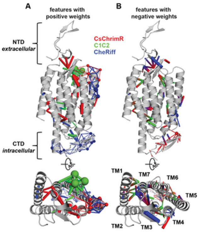 Figure 17