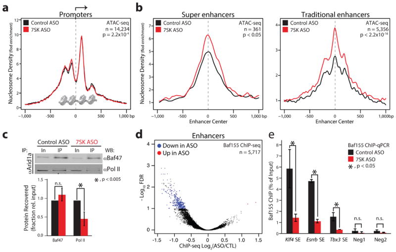 7SK-BAF axis controls pervasive transcription at enhancers - PMC