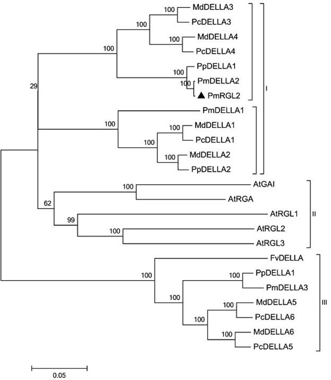 FIGURE 3