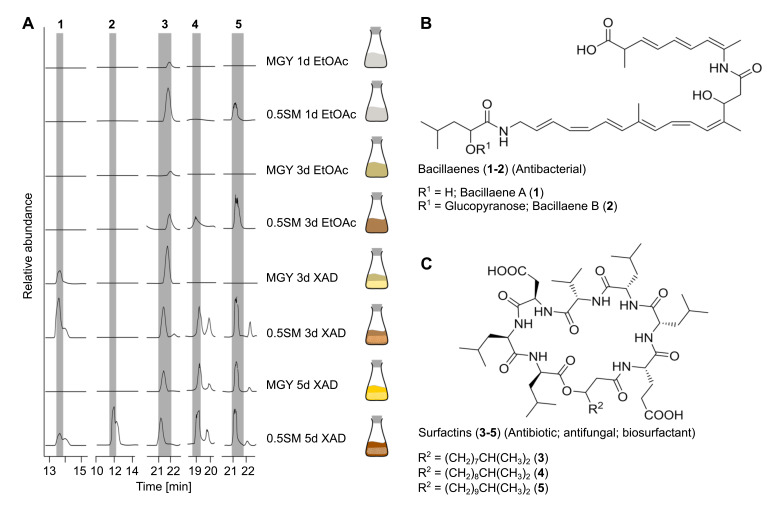 Figure 7.