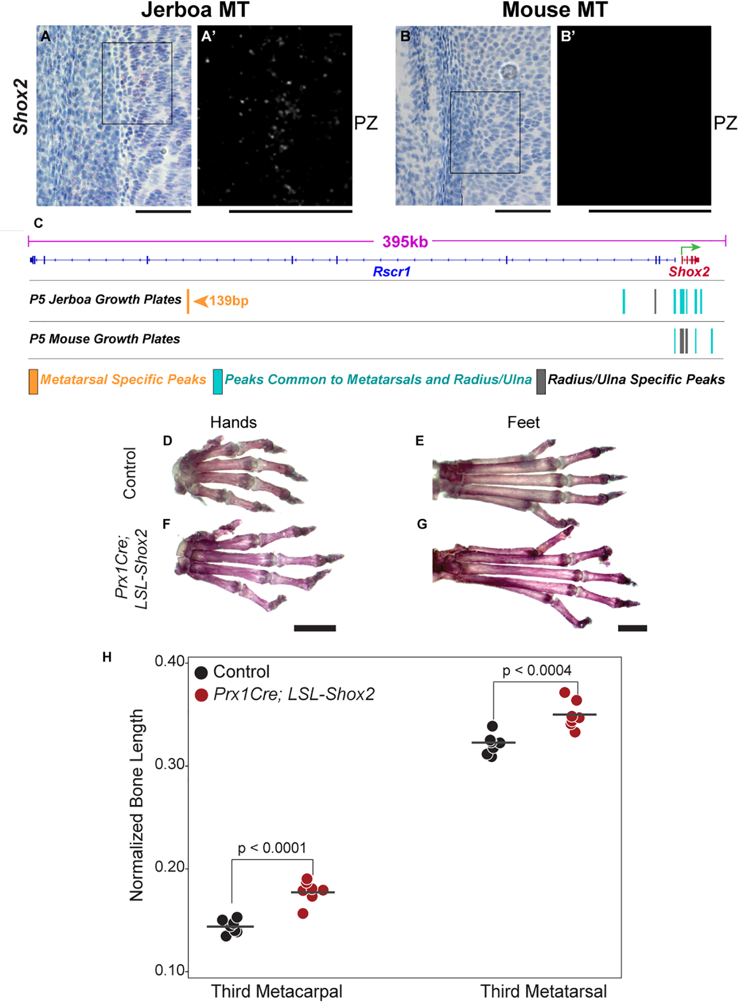 Figure 5 |