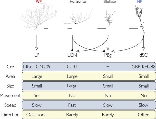 Figure 9.