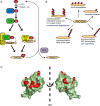 Fig. 1