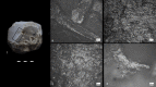 Fig 13