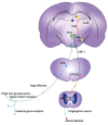 Fig. (1)