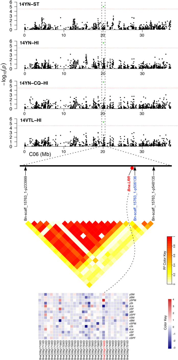 Figure 6