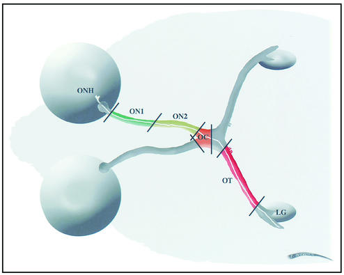 FIG. 1.