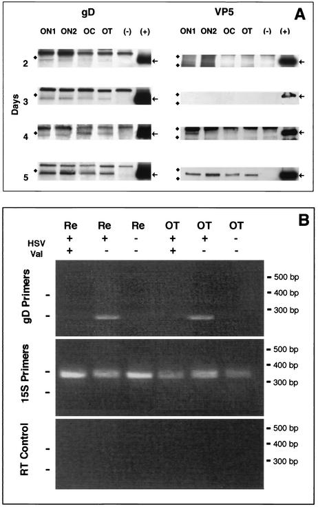 FIG. 5.