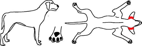 Fig. 5