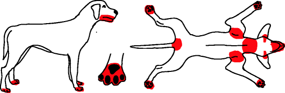 Fig. 7