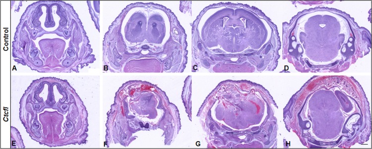 FIG 5