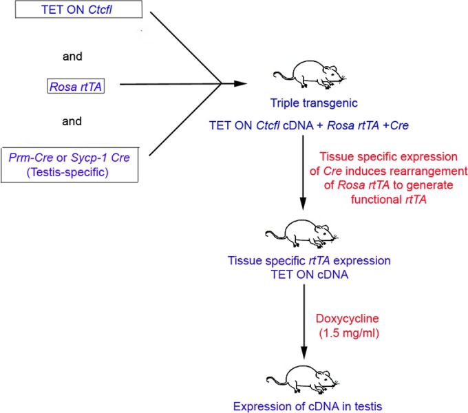 FIG 1