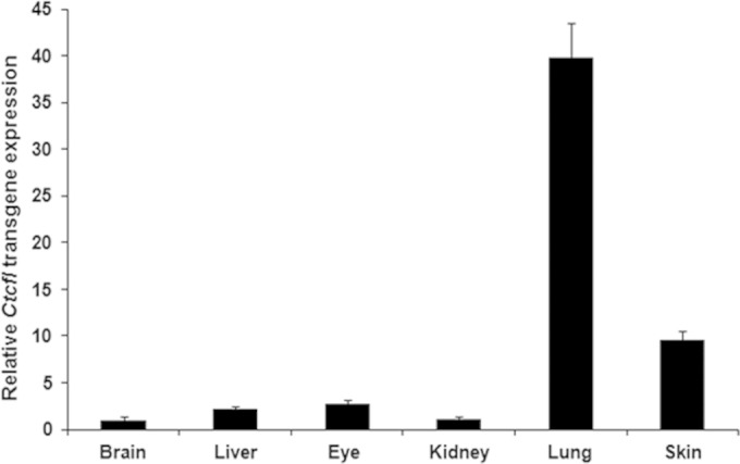 FIG 8