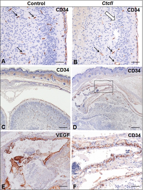 FIG 6