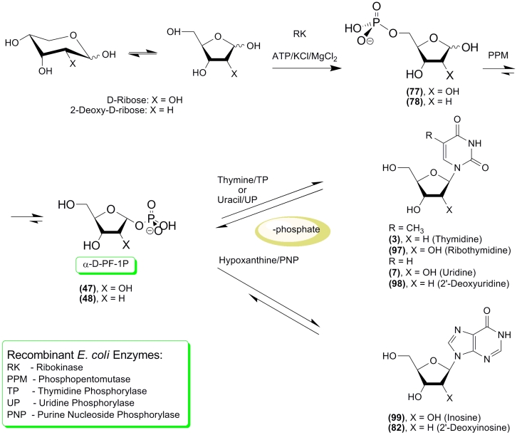 Scheme 23