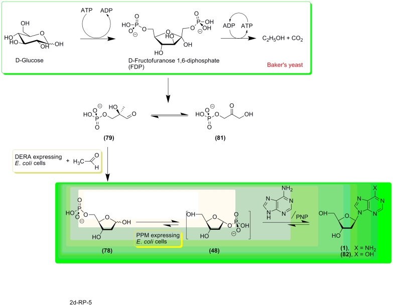 Scheme 18