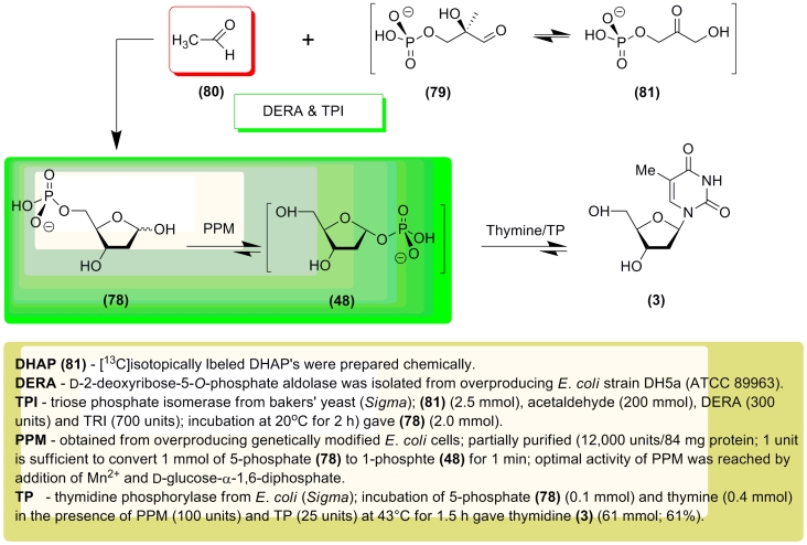 Scheme 16