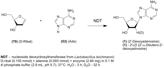 Scheme 13