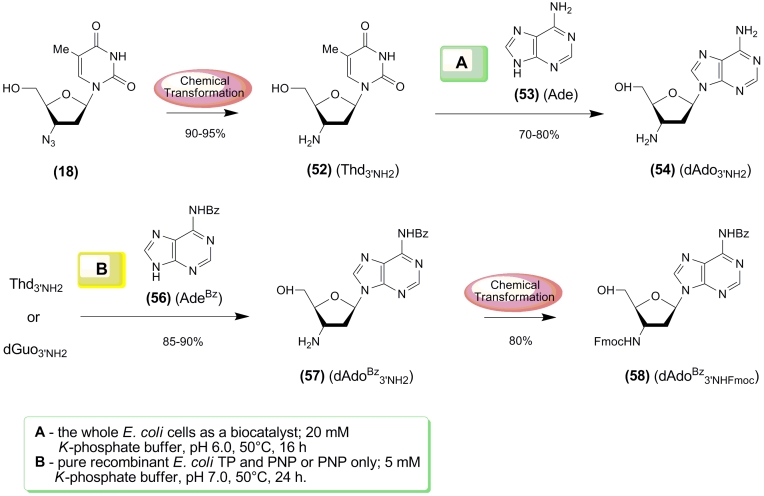 Scheme 7