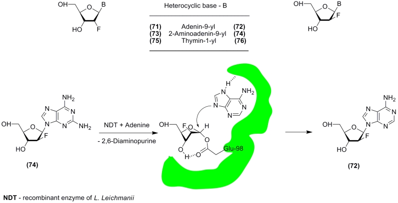 Scheme 14