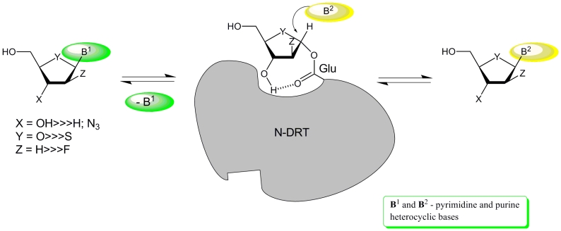 Scheme 12