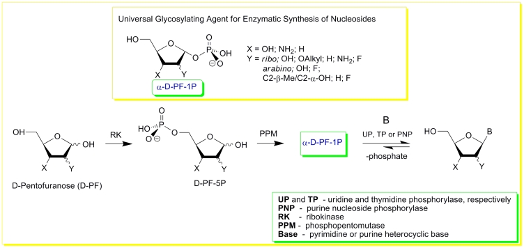 Scheme 22