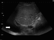 Figure 10.