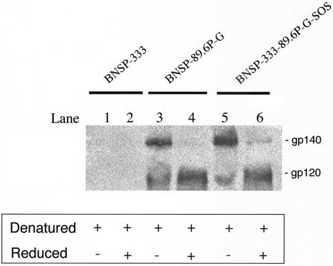 FIG. 8.