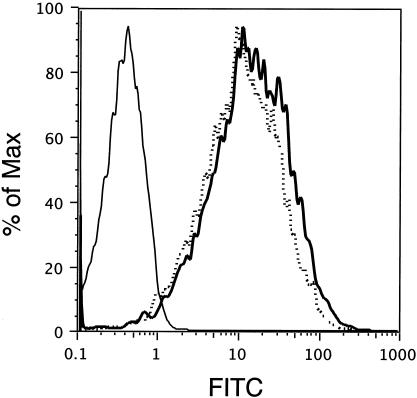 FIG. 5.