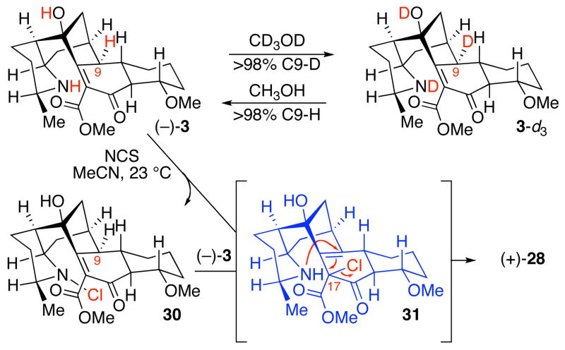 Scheme 4