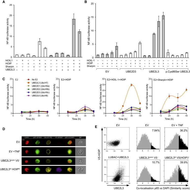 Figure 2