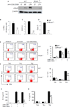 FIG 3