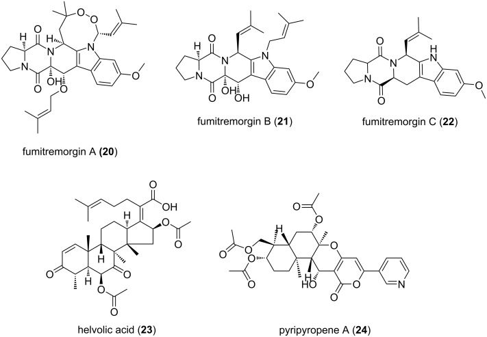 Figure 7