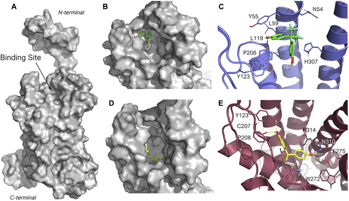 FIGURE 6