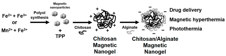 Scheme 1