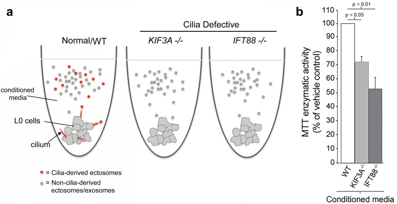 Fig. 7