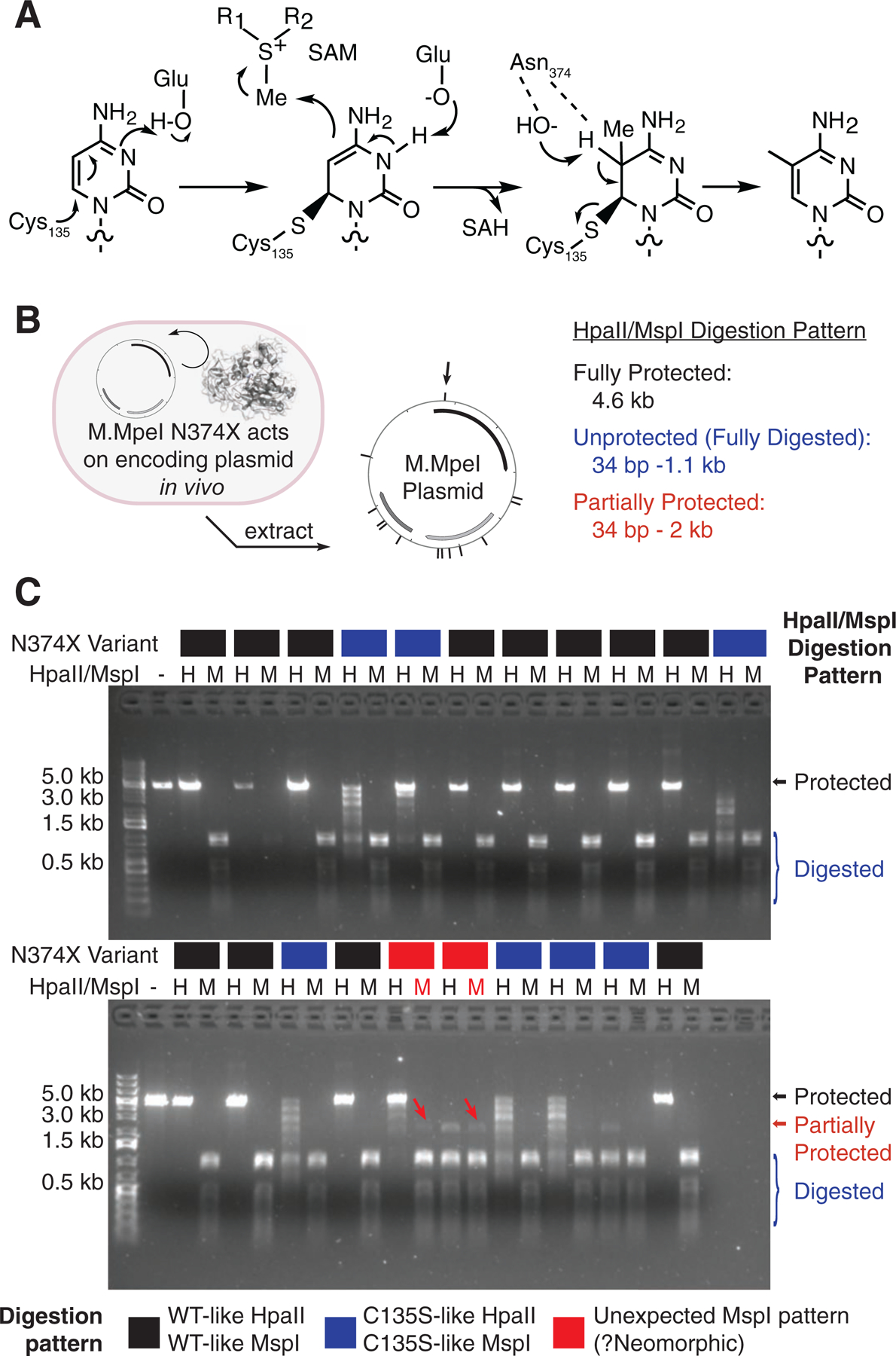 Figure 1: