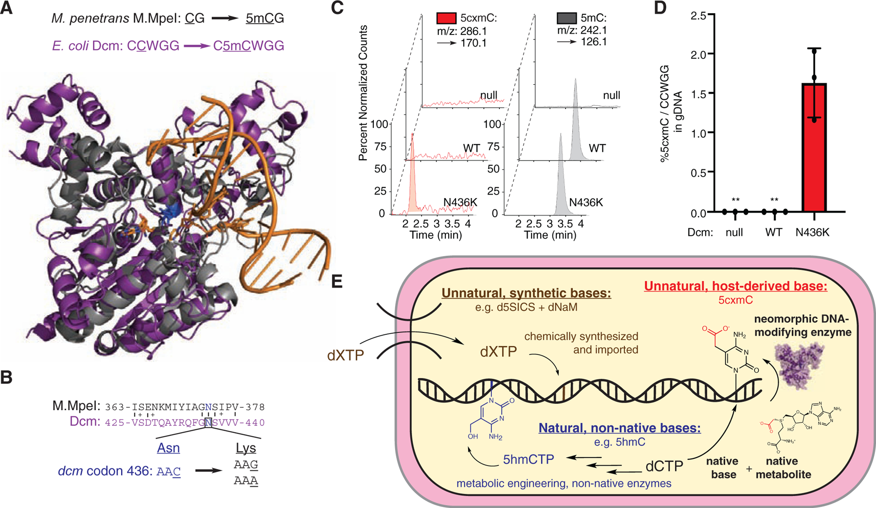 Figure 4: