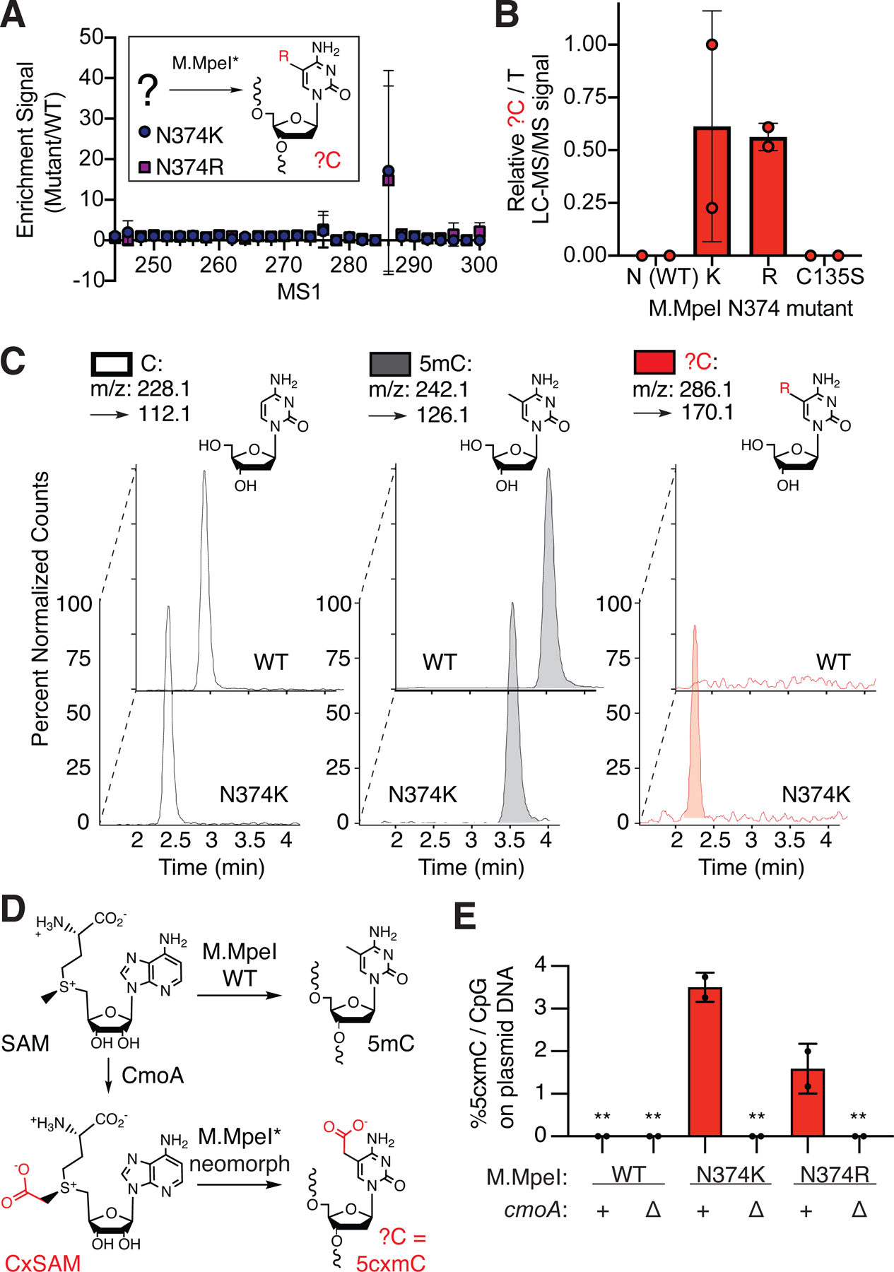 Figure 2: