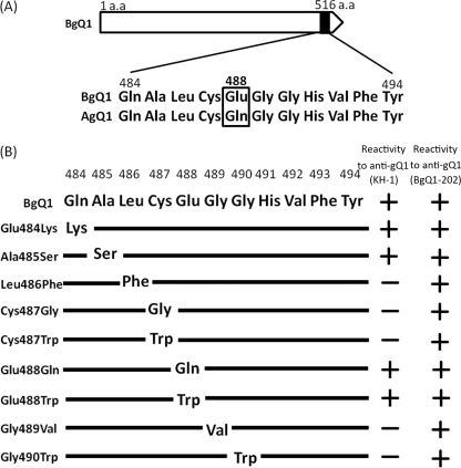 Fig. 10.