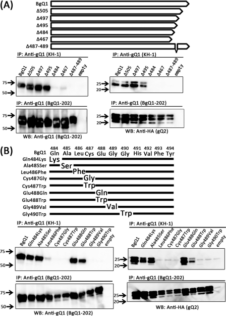 Fig. 11.