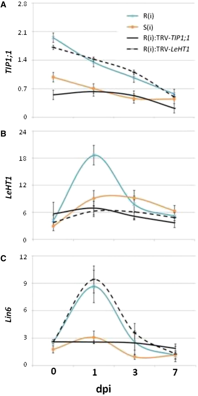 Figure 7.