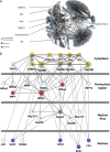 FIG. 1.