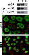 FIG. 7.