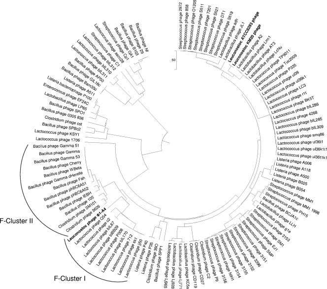 FIG. 7.