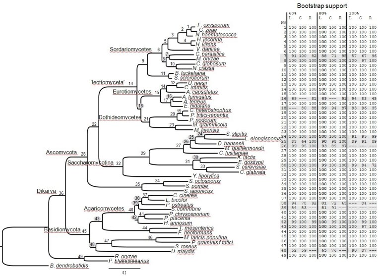 graphic file with name treetablefigurev6.jpg