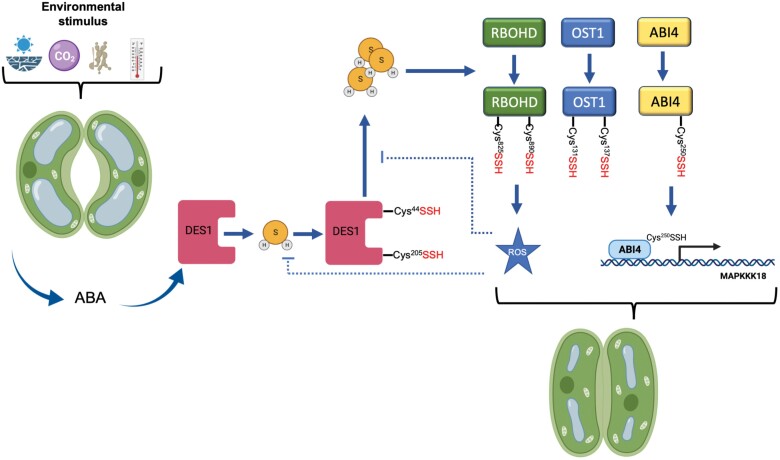 Fig. 4.