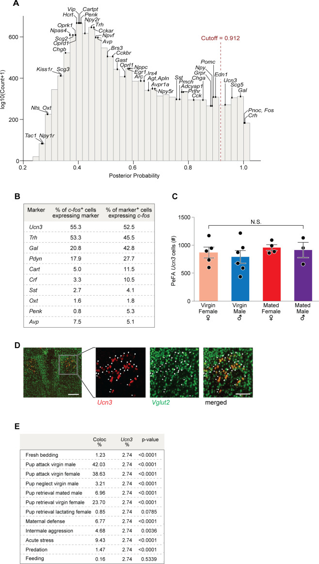 Figure 1—figure supplement 1.