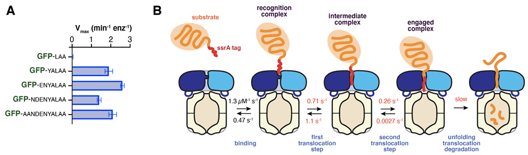 Figure 7.